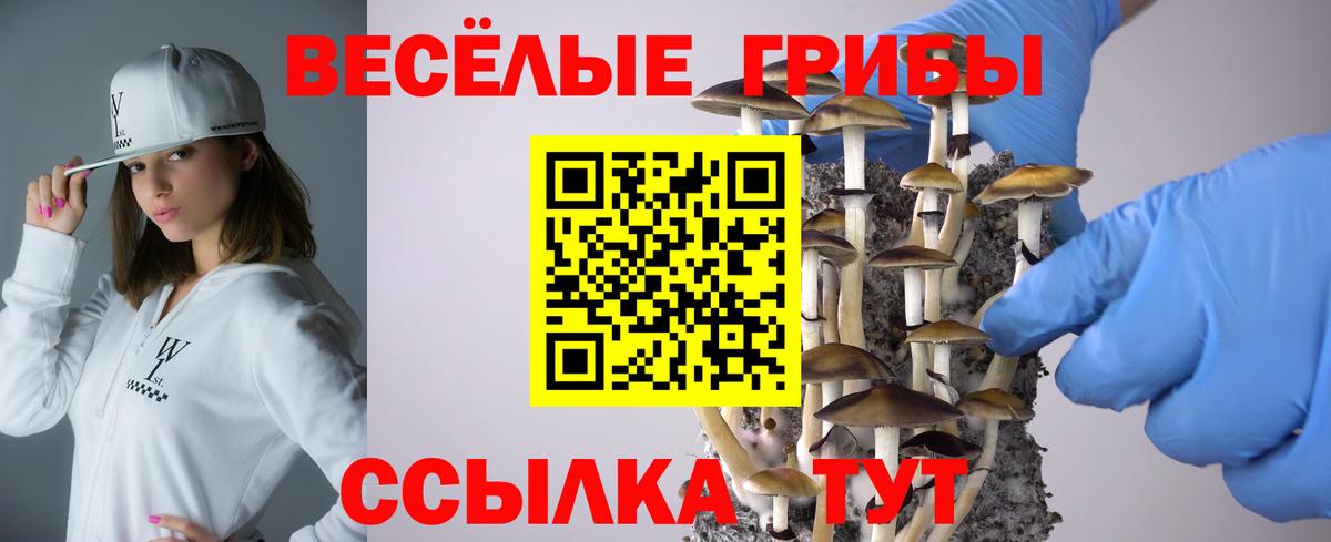 Галлюциногенные грибы Cubensis  Псилоцибиновые грибы Psilocybine cubensis  Вязники  Вход с VPN 